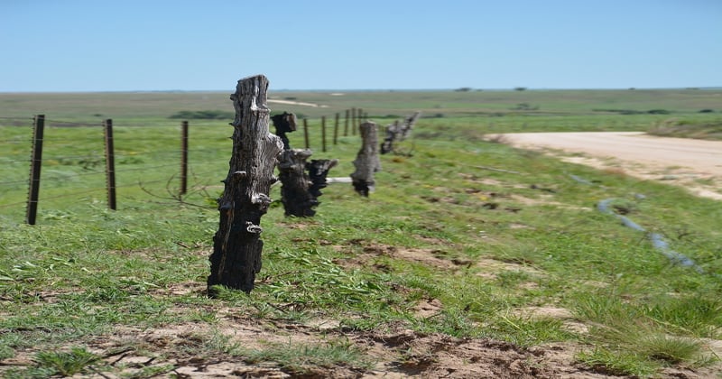 Wildfire relief effort continues in plains