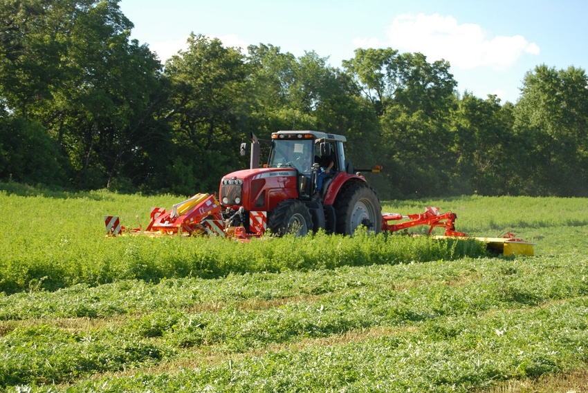 Tractor mowing alfalfa hay