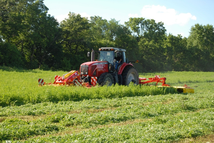 Tractor mowing alfalfa hay Tractor mowing alfalfa hay