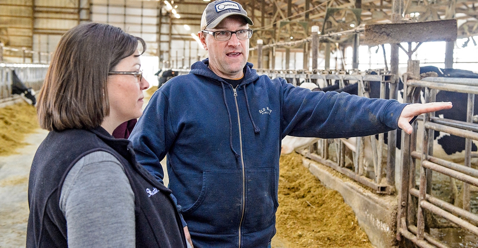 Simpler detection for ketosis helps Wisconsin dairy farms