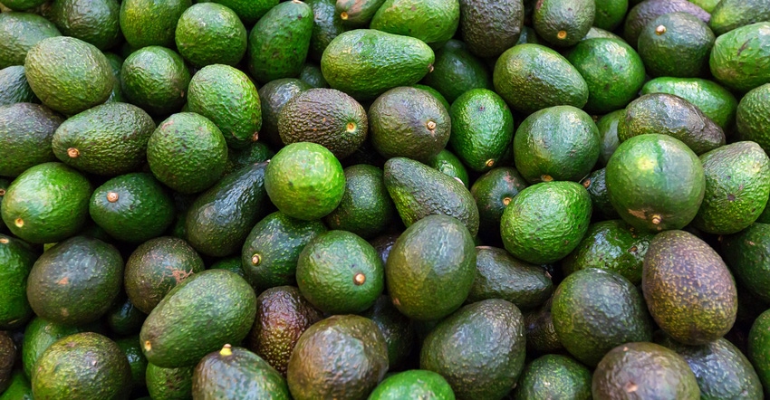 fresh-avocados-GettyImages-695592918.jpg fresh-avocados-GettyImages-695592918.jpg
