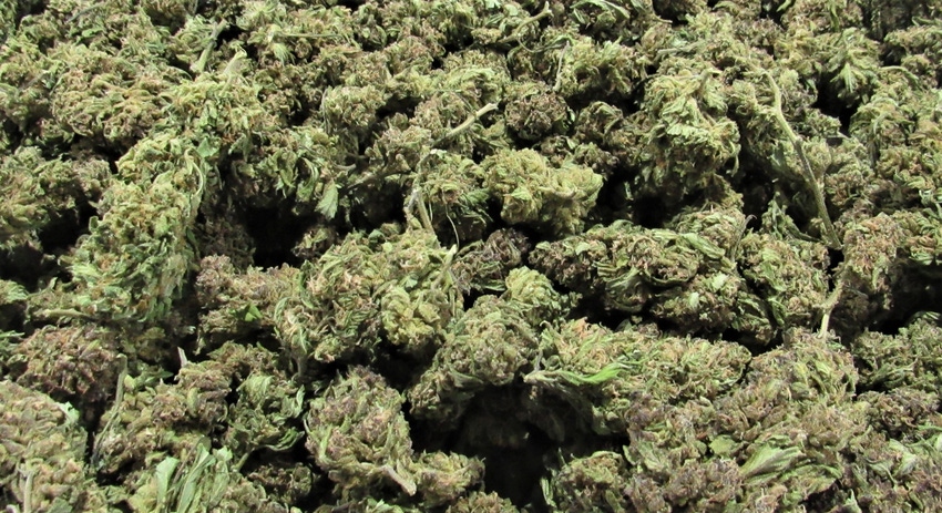 Smokable hemp Smokable hemp