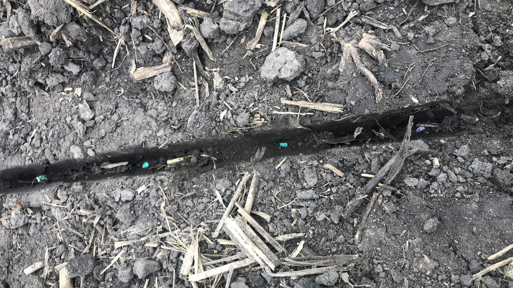 Iowa State University - wheel mark in soil