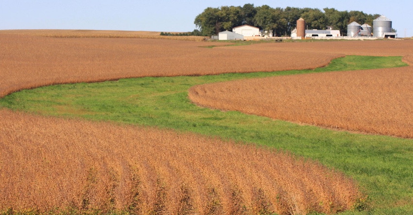 This curving grass waterway in a soybean field in western Iowa helps control soil erosion, protects water quality and promote