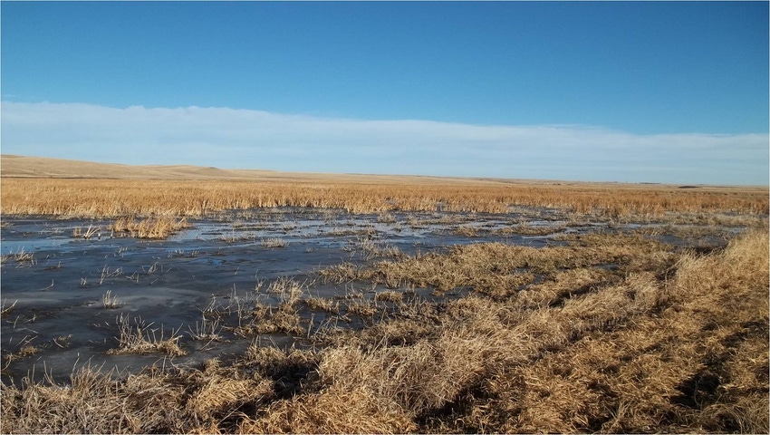 Spring flooding in Perman's hay meadow