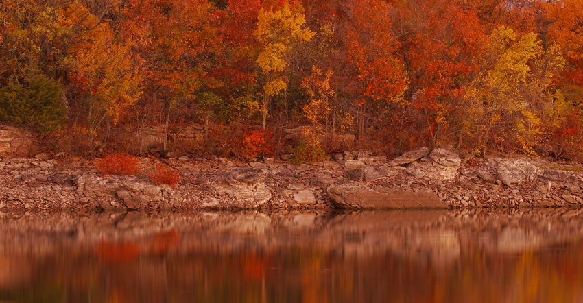 Colorful trees along a river during fall