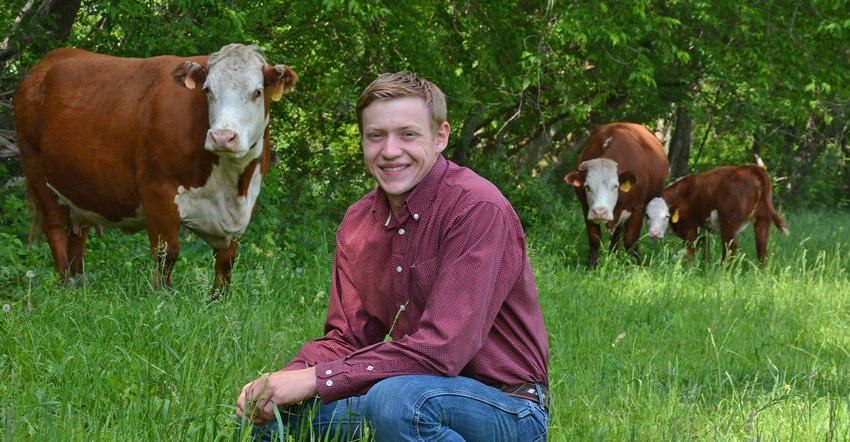 Wyatt Lawrence, with Hereford cows and calf in pasture