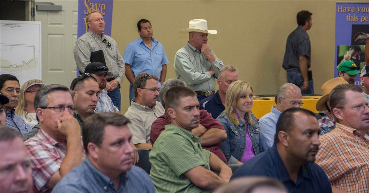 Asian citrus psyllid discovery forces quarantine in Tulare County