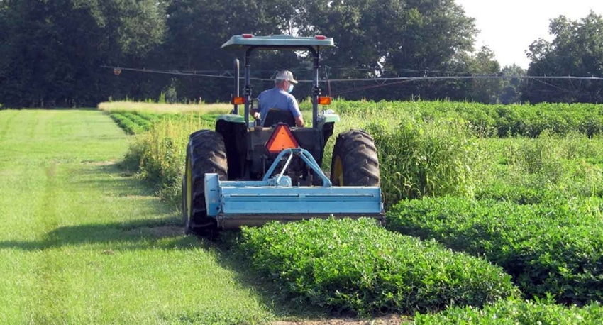 flail-mower-peanut-uga-extension-a.jpg flail-mower-peanut-uga-extension-a.jpg