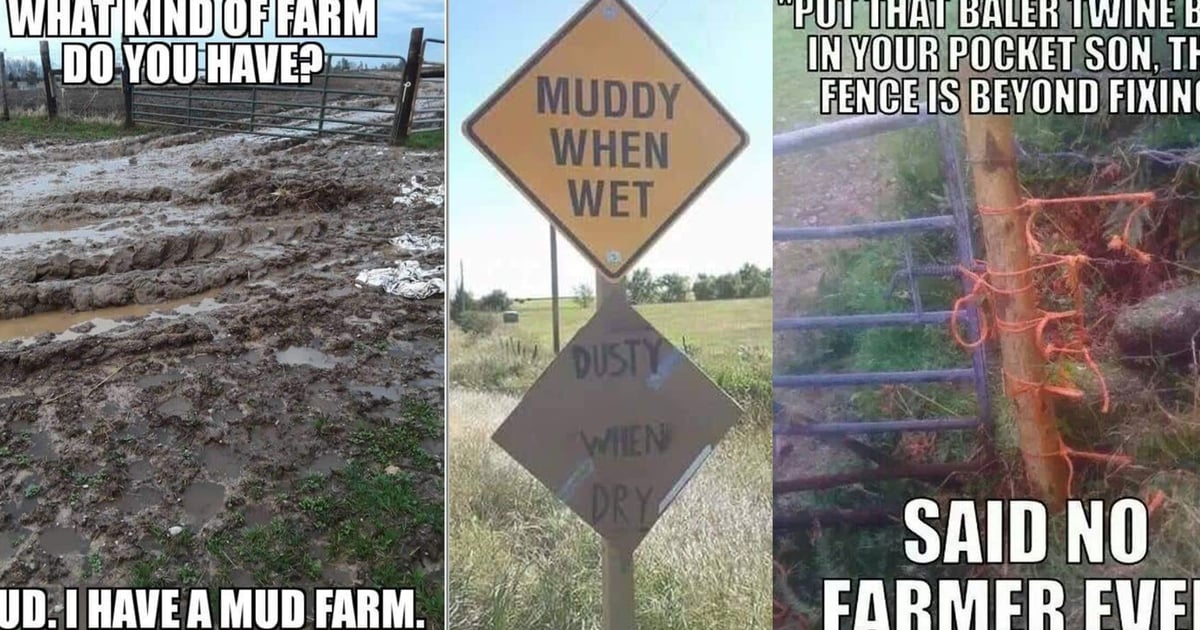 16 hilarious farm memes to make your day better
