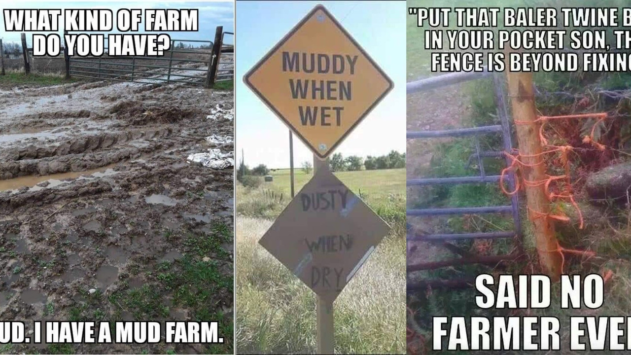 16 hilarious farm memes to make your day better