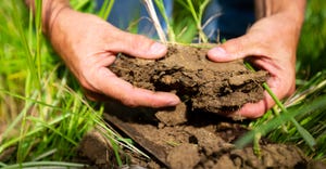 hands holding clump of soil