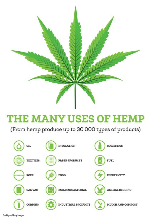 infographic naming various products that are produced from hemp