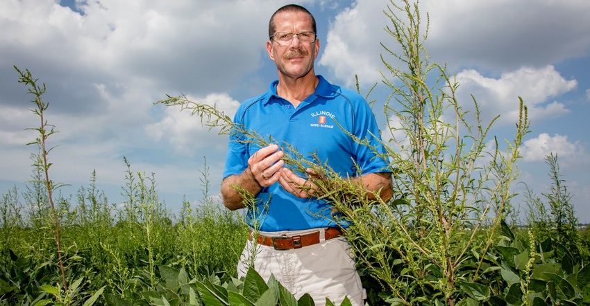 University of Illinois weed scientist Aaron Hager standing among weeds in soybean field