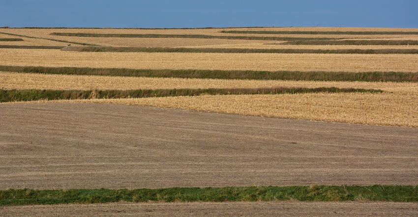 field landscape with conservation strips throughout