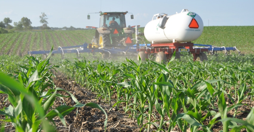 tractor sidedressing nitrogen in young cornfield