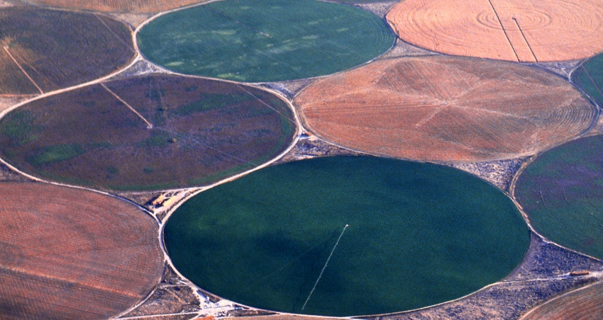 WFP-ARS-oregon-ag.jpg WFP-ARS-oregon-ag.jpg