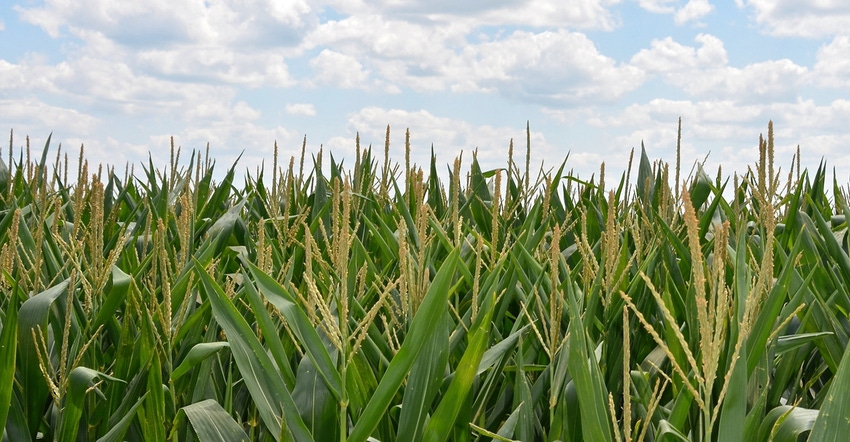 Iowa farmland Iowa farmland