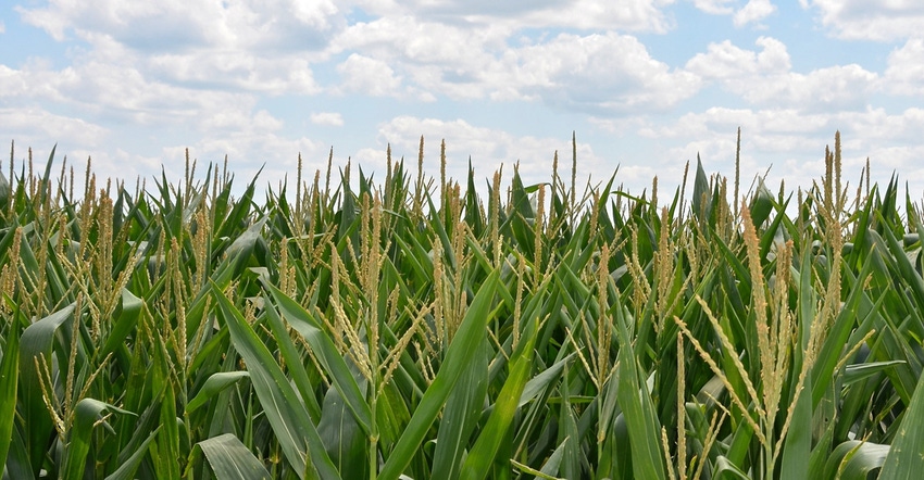 Iowa farmland