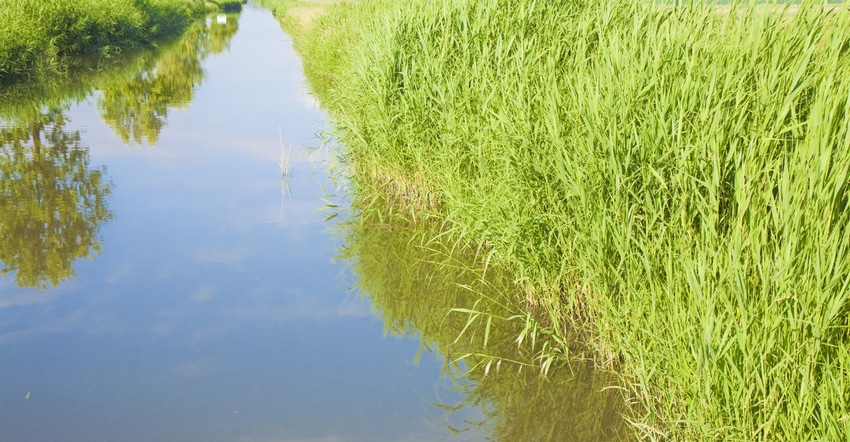 WOTUS Ditch Getty985664948.jpg WOTUS Ditch Getty985664948.jpg
