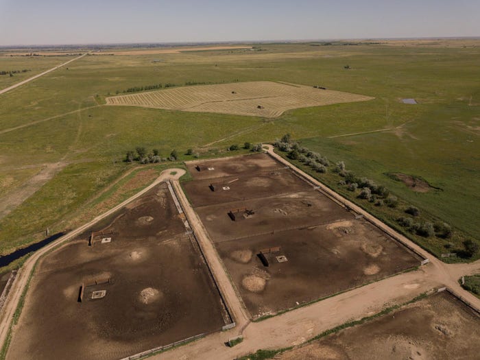 Aerial view a cattle feedlot