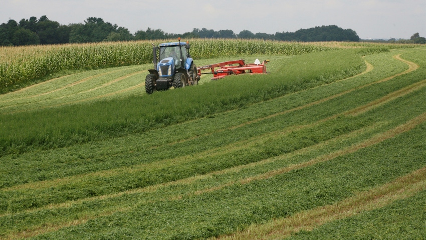 tractor cutting alfalfa into windrows