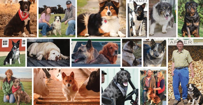 collage of past Prairie Farmer farm dog winners collage of past Prairie Farmer farm dog winners