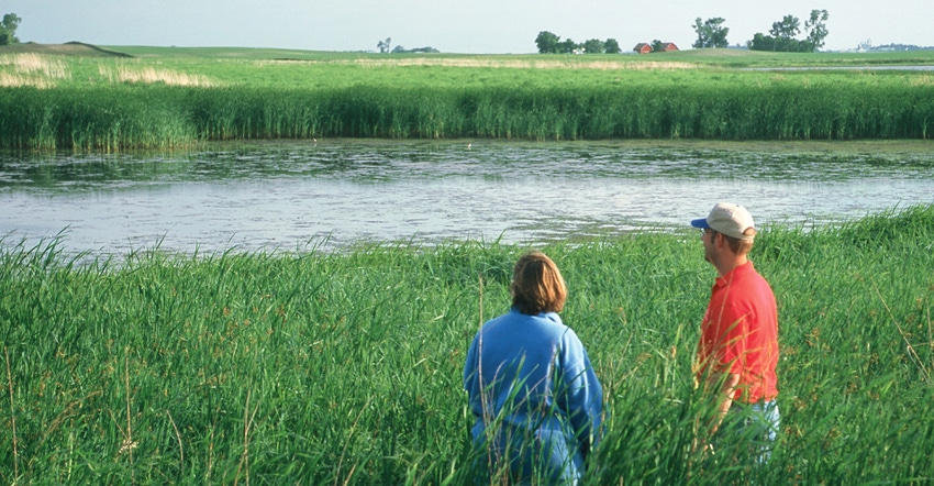 Two people looking at a wetlands pond