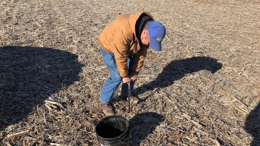 A farmer pushing a tool into the soil of a soybean field