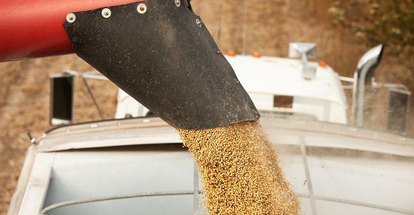 auger unloading soybeans into semi truck auger unloading soybeans into semi truck