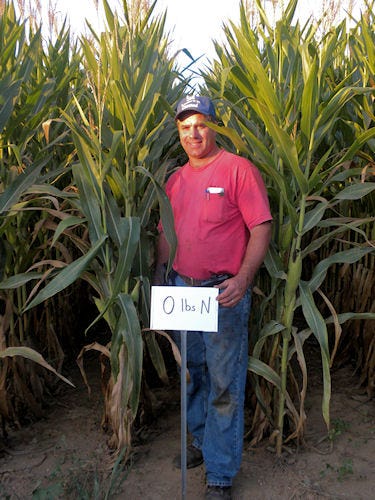 groff_grows_190_bushel_corn_without_nitrogen_fertilizer_1_634583273016376991.jpg
