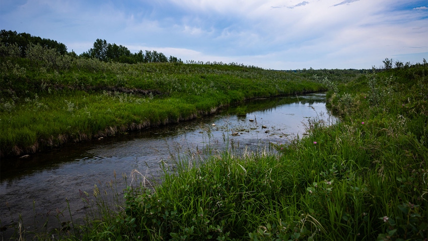  A stream running through a grassy landscape with green trees in the background