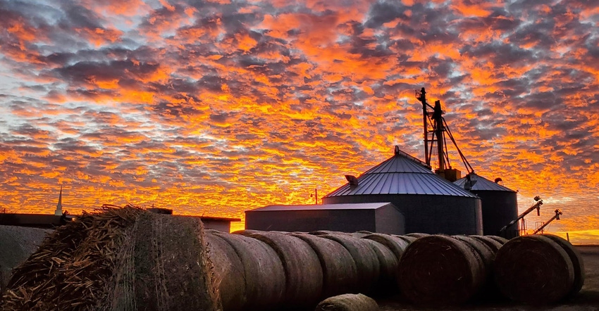 swfp-shelley-huguley-grain-sunset.jpg