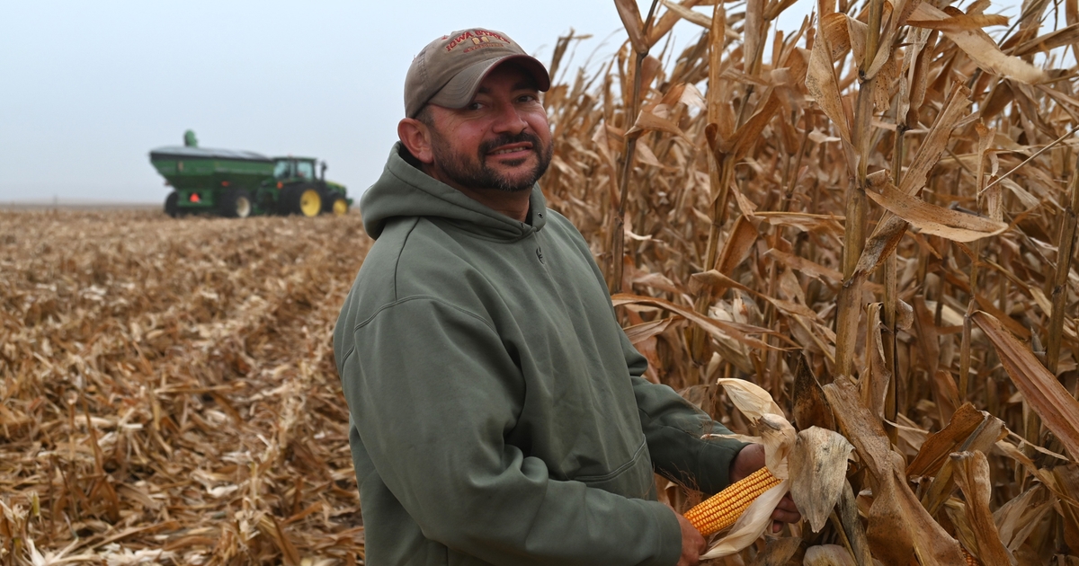 Nitrogen fertilizer rates key factor for Iowa corn production