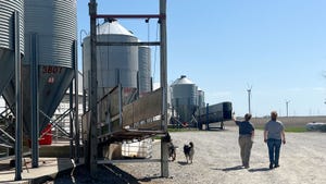 Two women and two dogs walk toward a grain system