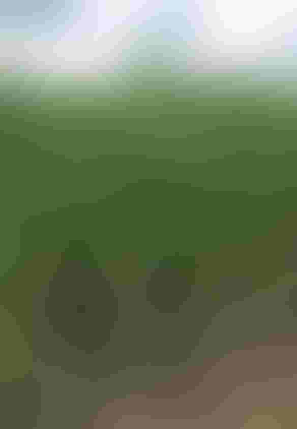 0713F1-1650C-584x844.jpg 0713F1-1650C-584x844.jpg
