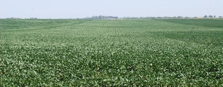 selling_cash_soybeans_using_minimum_price_contract_1_635212619754348063.jpg