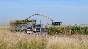 combine in cornfield