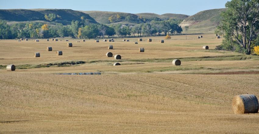 landscape of round bales in a field