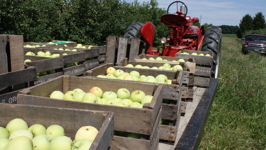  A tractor pulling a trailer of wooden crates filled with apples