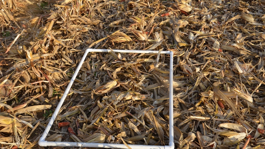 A white rectangle made out of PVC pipe placed in a harvested cornfield