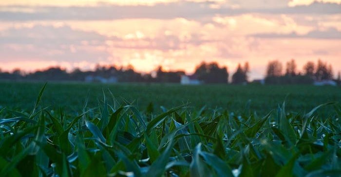 6-farmland-values.jpeg 6-farmland-values.jpeg