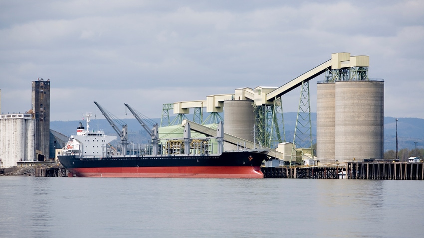 Ship at grain terminal