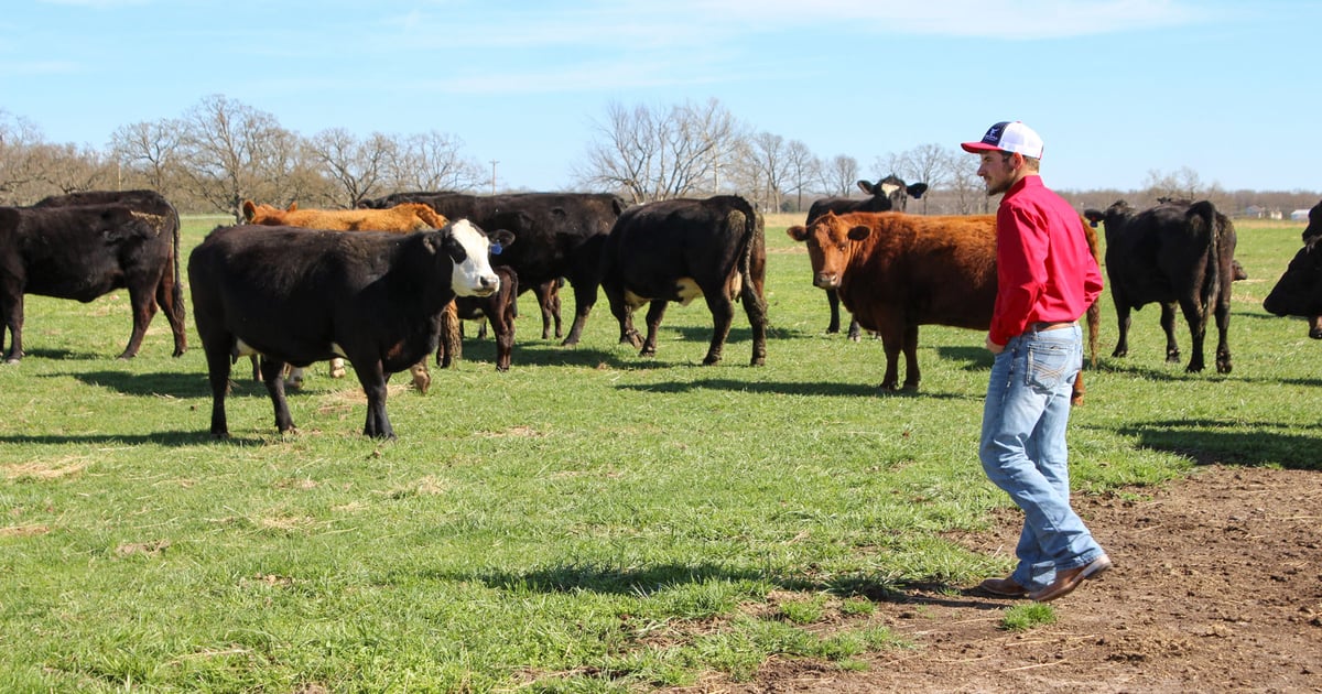 Can your children actually afford the family farm?