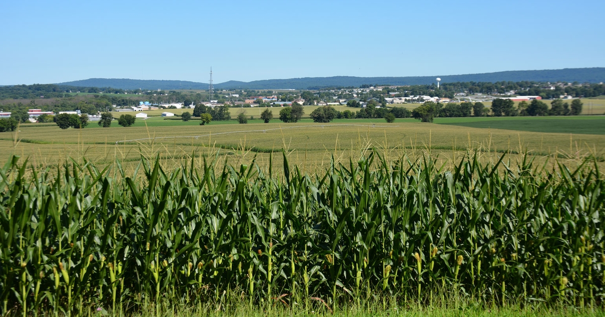 Land values steady in Northeast but falling in New York, Vermont