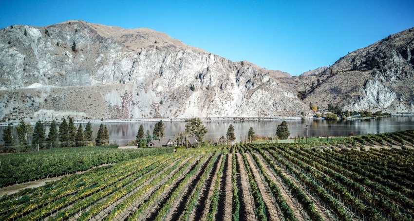 GL0513-WSWC-wa-grapes.jpg GL0513-WSWC-wa-grapes.jpg
