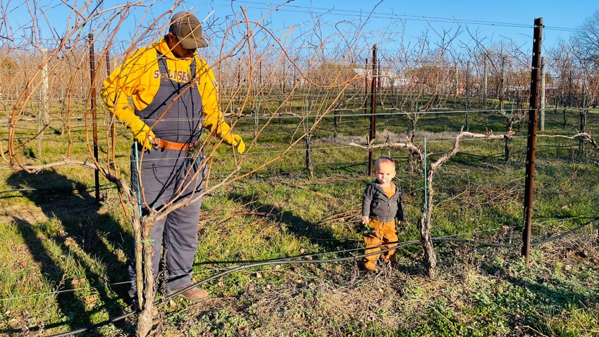 Shelby Watson-Hampton’s husband and 18-month-old son are trying hard to get caught up on vineyard chores Shelby Watson-Hampton’s husband and 18-month-old son are trying hard to get caught up on vineyard chores
