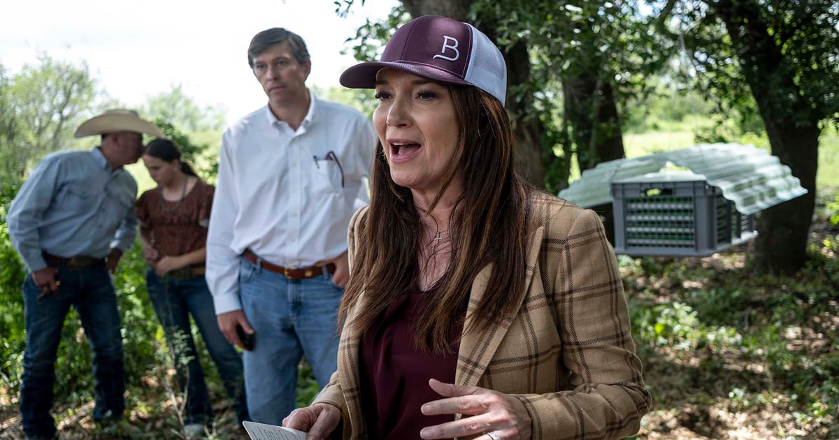 USDA under pressure as screwworm cases surge