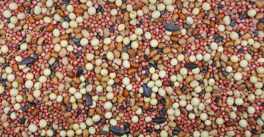 An overhead view of a pile of cover crop seed mix