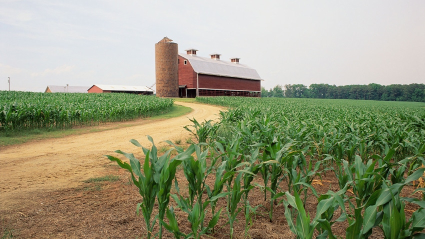 Red barn in cornfields